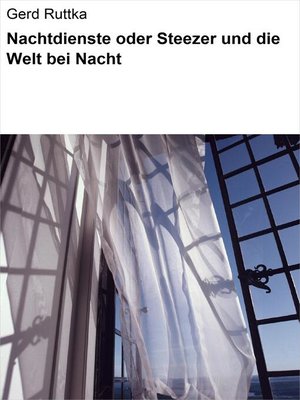 cover image of Nachtdienste oder Steezer und die Welt bei Nacht